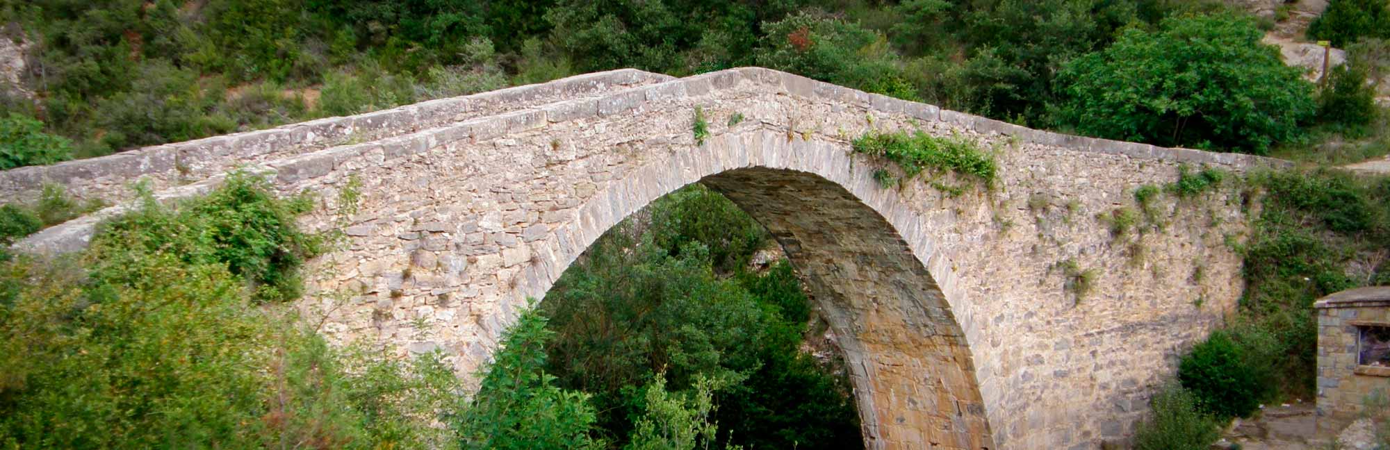 naturaleza-2